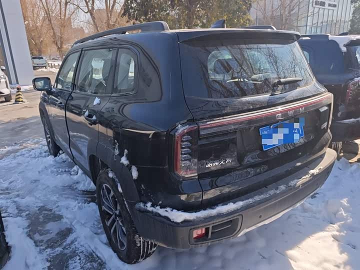 Фото 5 - Haval Dargo