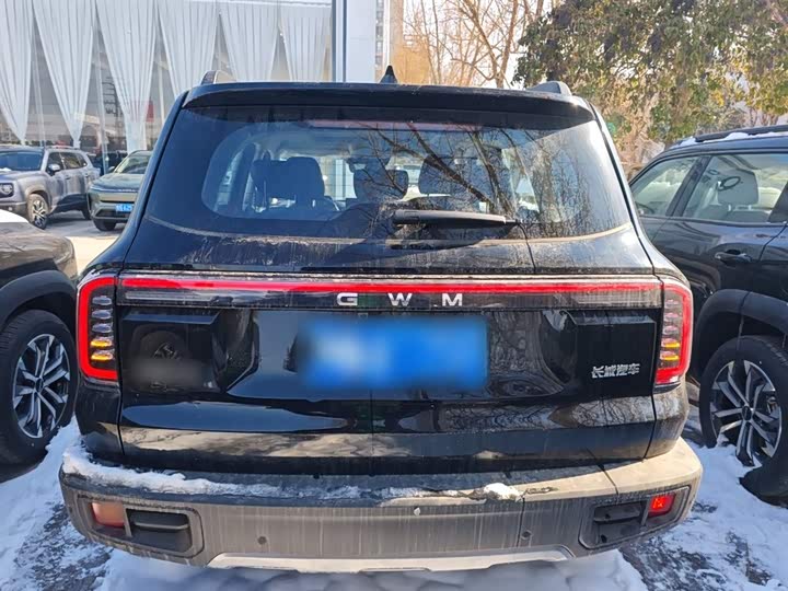 Фото 6 - Haval Dargo