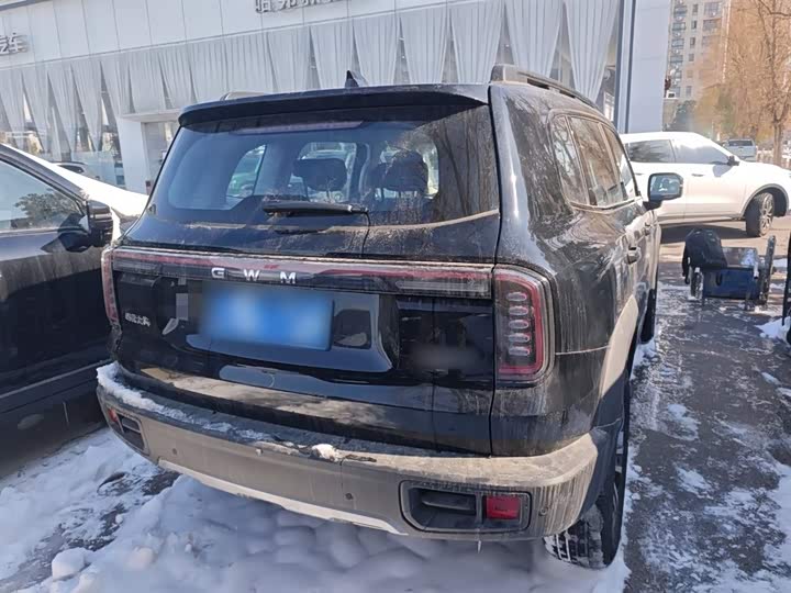 Фото 7 - Haval Dargo