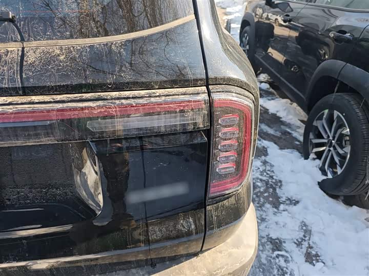 Фото 8 - Haval Dargo