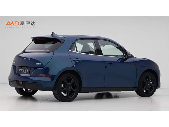 Фото 3 - Ora Good Cat (03)