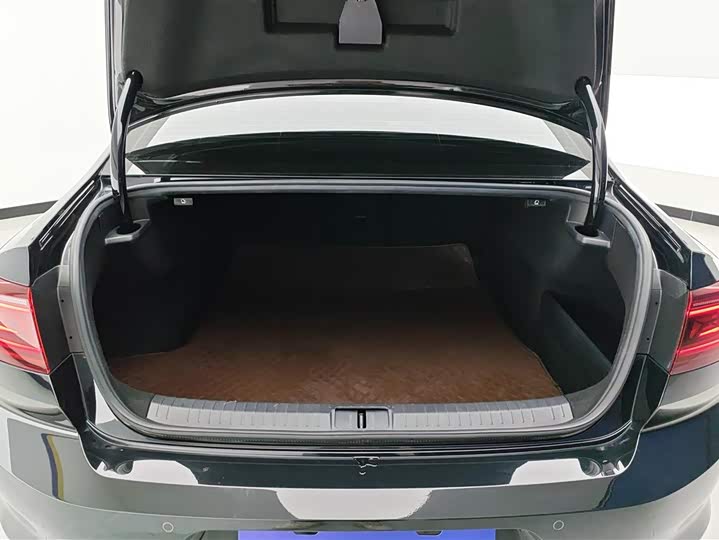 Фото 4 - Volkswagen Magotan