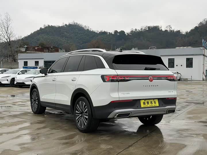 Фото 4 - Volkswagen Tavendor