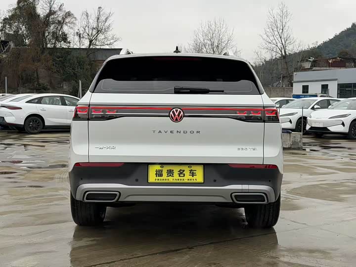 Фото 5 - Volkswagen Tavendor