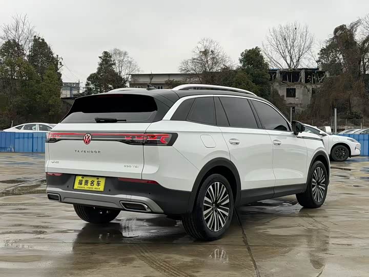 Фото 6 - Volkswagen Tavendor