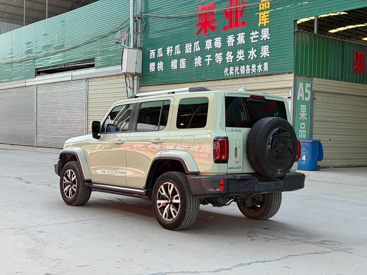 Фото 6 - Tank 300