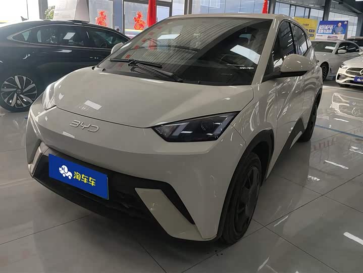 Фото 1 - BYD Seagull