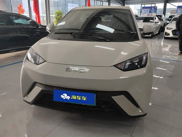 Фото 2 - BYD Seagull