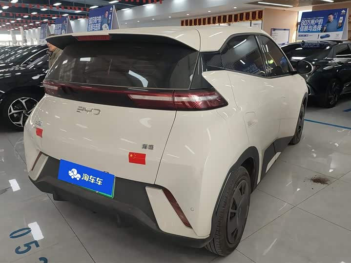 Фото 3 - BYD Seagull