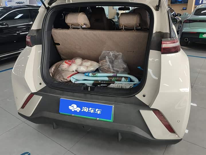 Фото 4 - BYD Seagull