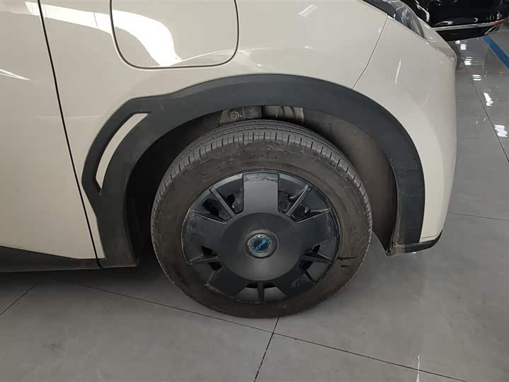 Фото 6 - BYD Seagull