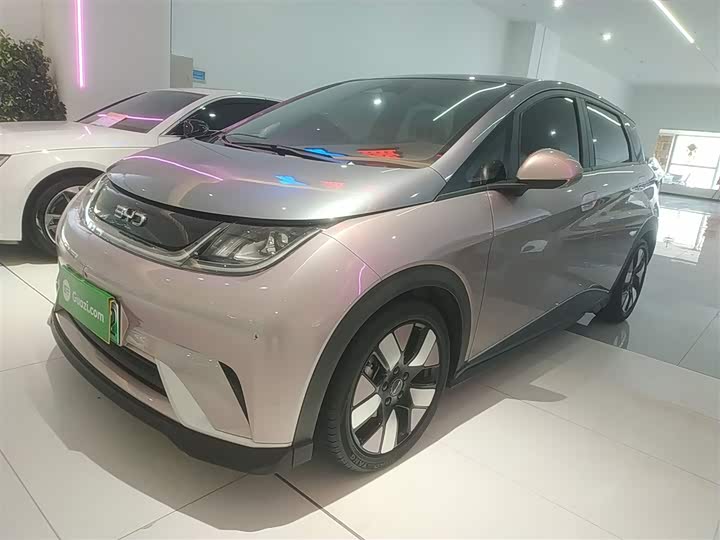 Фото 1 - BYD Dolphin