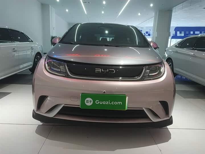 Фото 3 - BYD Dolphin