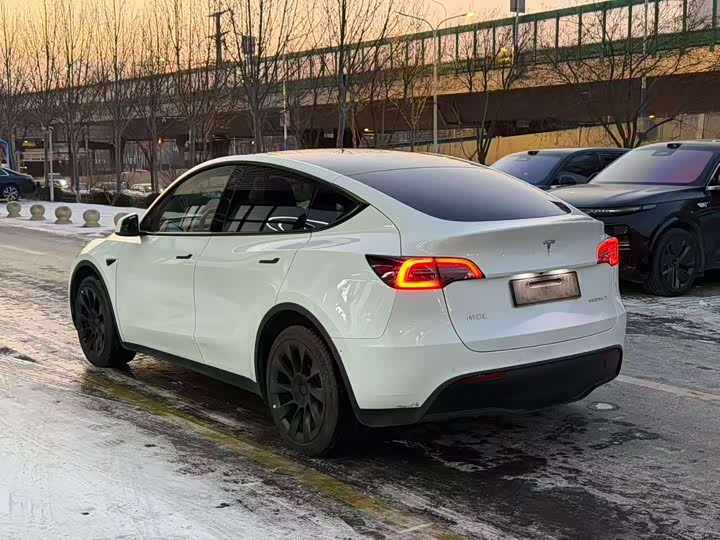 Фото 6 - Tesla Model Y