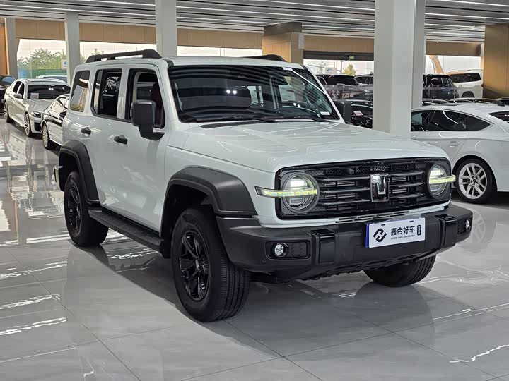 Фото 3 - Tank 300