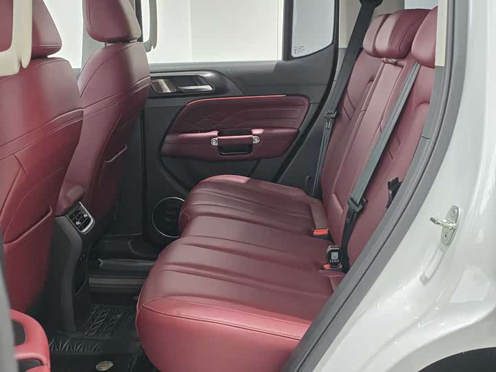 Фото 8 - Tank 300