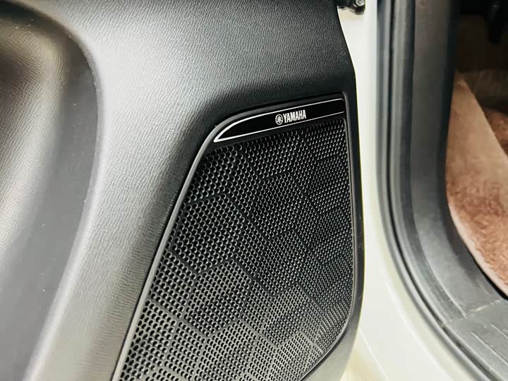 Фото 8 - GAC Trumpchi E9