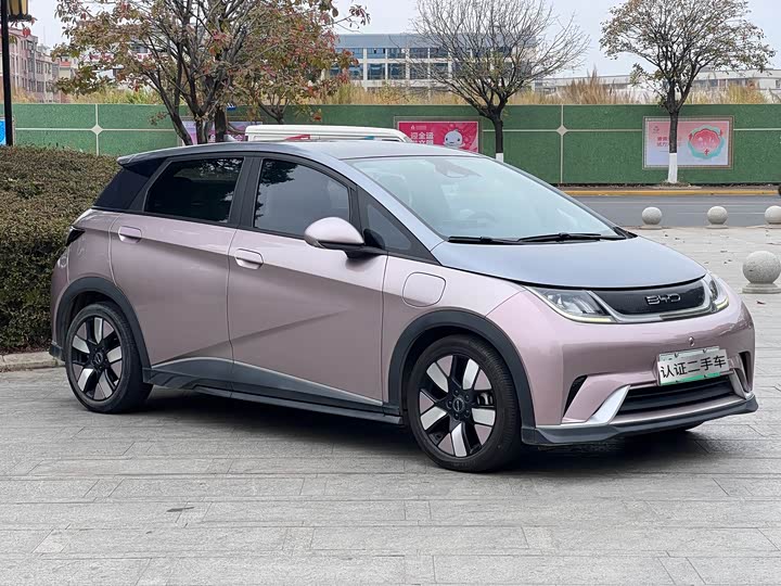 Фото 3 - BYD Dolphin