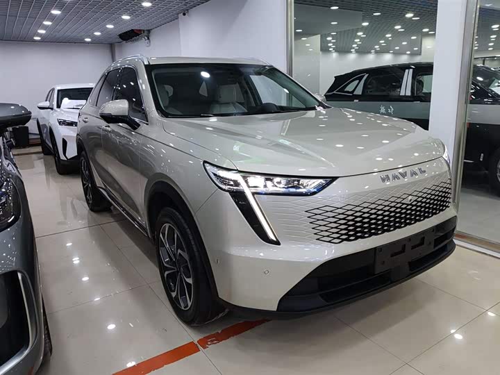 Фото 4 - Haval Ruge Max