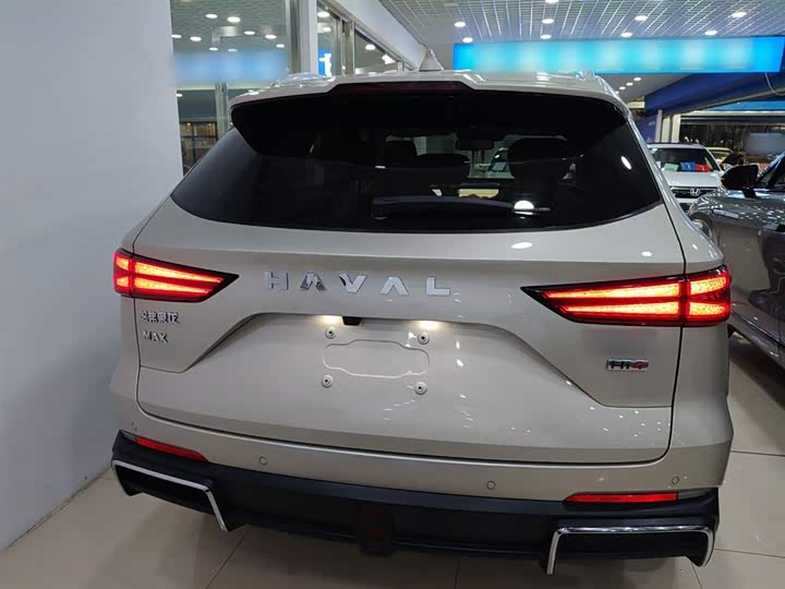 Фото 6 - Haval Ruge Max