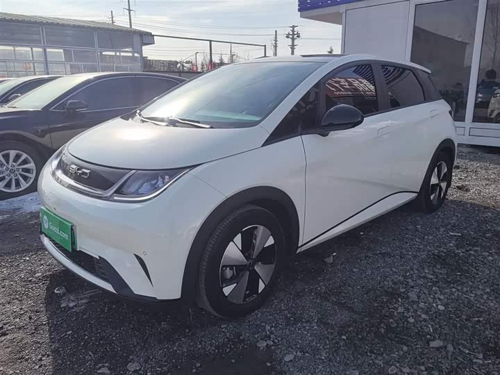 Фото 2 - BYD Dolphin