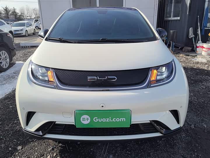 Фото 3 - BYD Dolphin