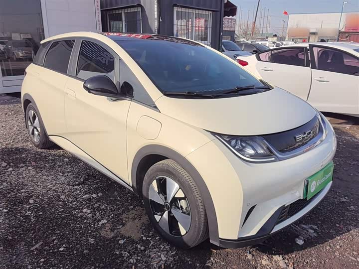 Фото 4 - BYD Dolphin