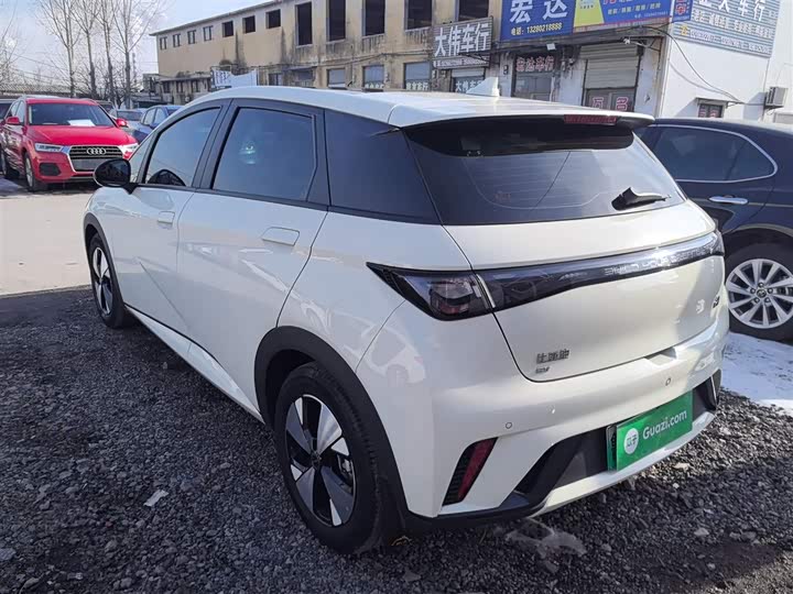 Фото 5 - BYD Dolphin