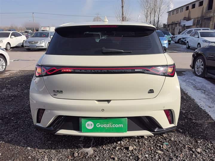 Фото 6 - BYD Dolphin