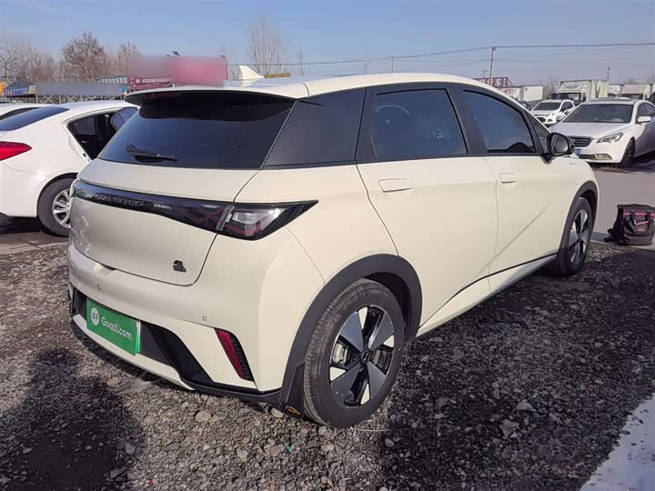 Фото 7 - BYD Dolphin