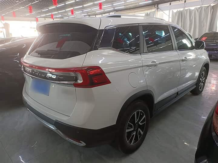 Фото 7 - Dongfeng Forthing T5
