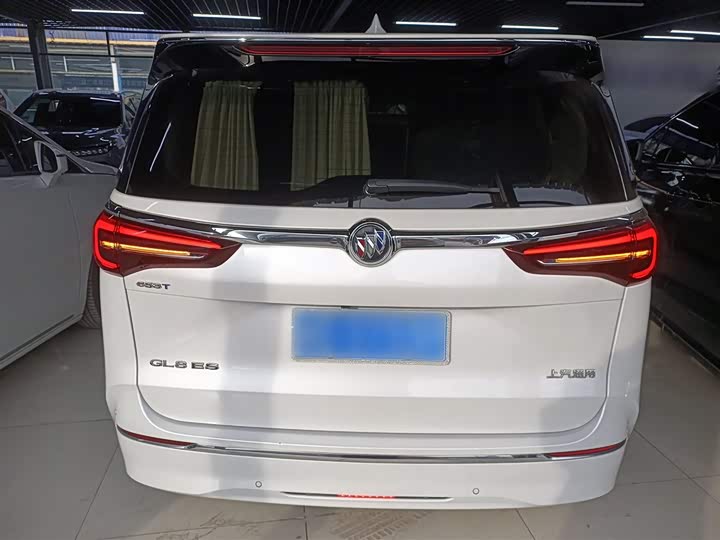 Фото 6 - Buick GL8 ES