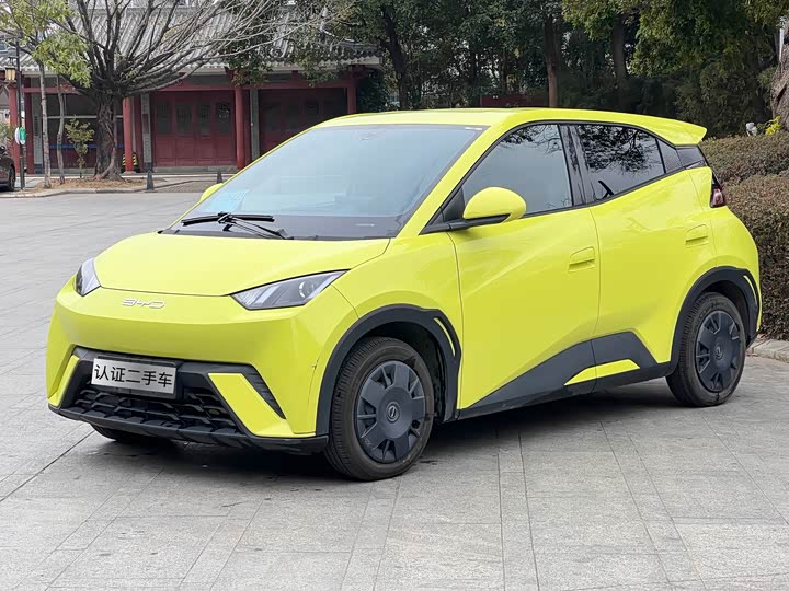 Фото 1 - BYD Seagull