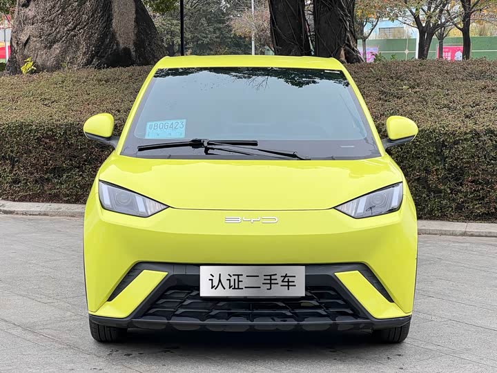 Фото 2 - BYD Seagull