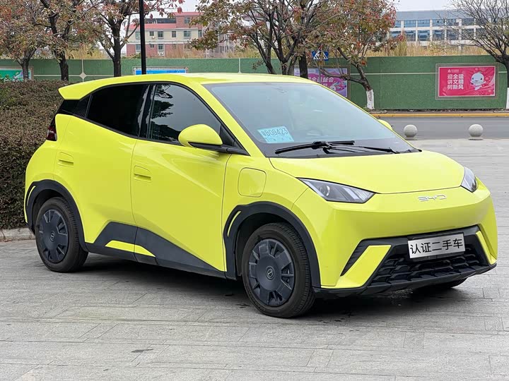 Фото 3 - BYD Seagull