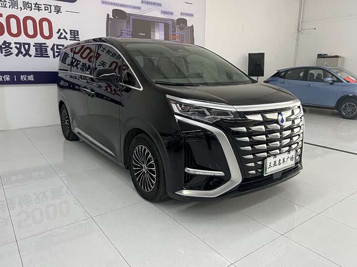 Фото 3 - Denza D9