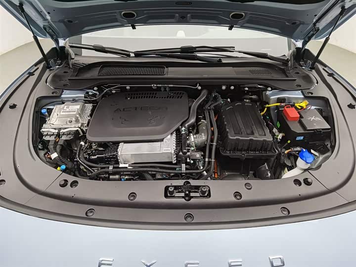 Фото 6 - Exeed Sterra ES