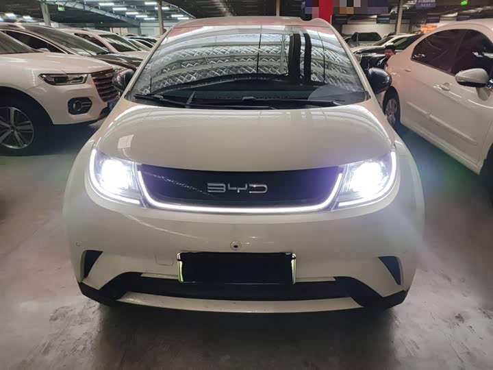 Фото 3 - BYD Dolphin