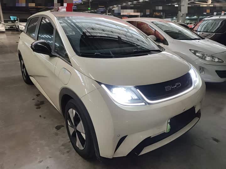 Фото 4 - BYD Dolphin