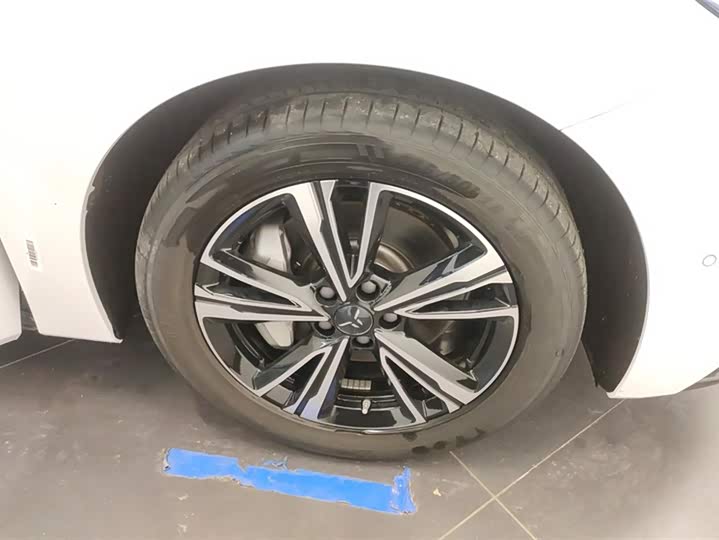 Фото 6 - Hongqi EH7