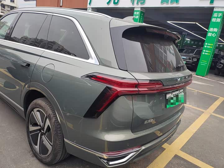 Фото 5 - Wey Lanshan