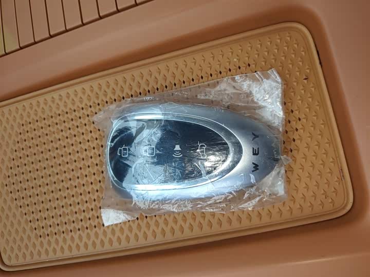 Фото 9 - Wey Lanshan