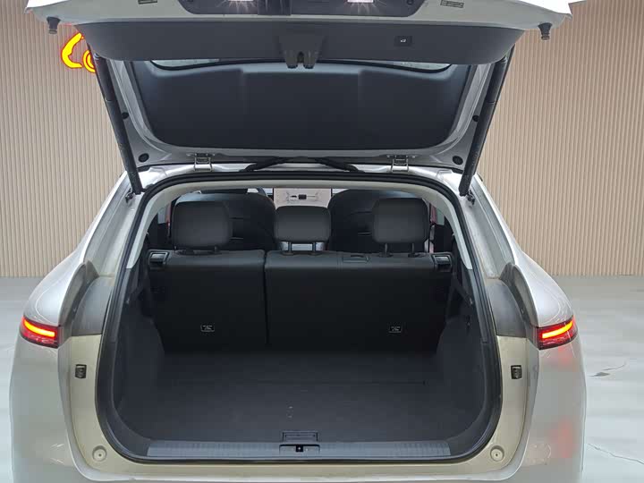 Фото 9 - XPeng G6