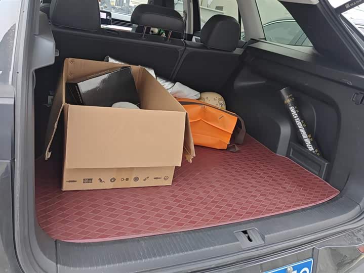 Фото 4 - Volkswagen Tavendor