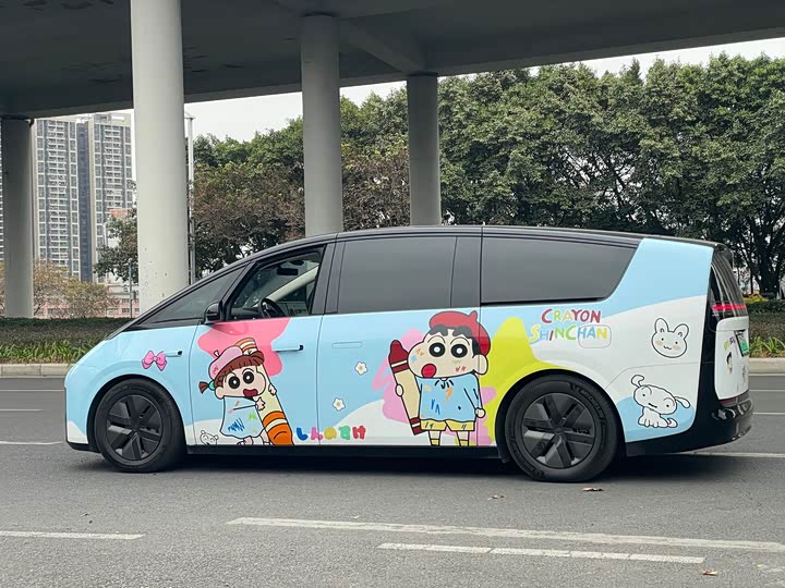 Фото 4 - LiXiang Mega