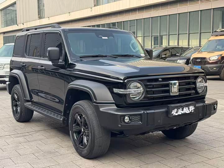 Фото 3 - Tank 300