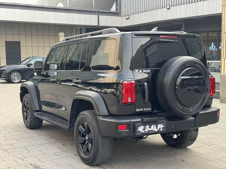 Фото 6 - Tank 300