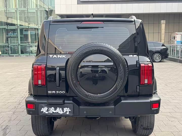 Фото 7 - Tank 300