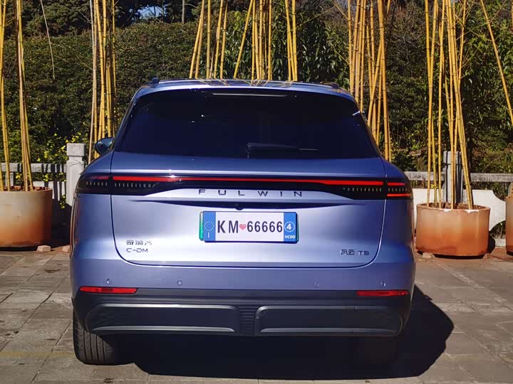 Фото 9 - Chery Fulwin T9