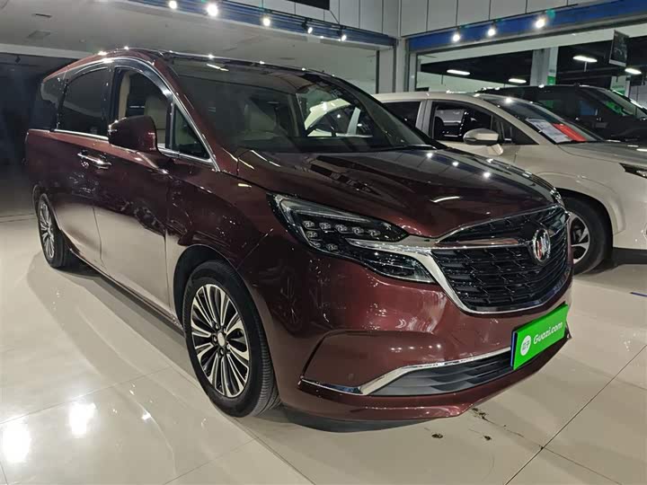 Фото 4 - Buick GL8 ES